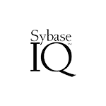Sybase IQ